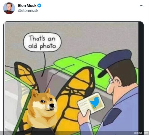 A dynamic visual representation of cryptocurrency value fluctuations